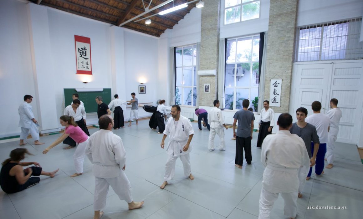 XV ediciÃ³n del curso de verano de iniciaciÃ³n al Aikido | Escuela ...